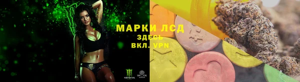 спайс Аркадак