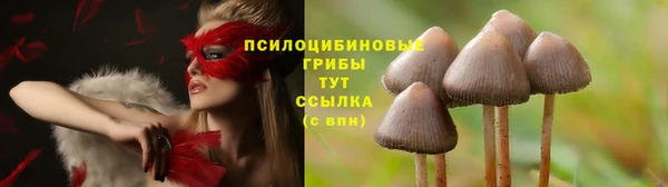 амф Арсеньев