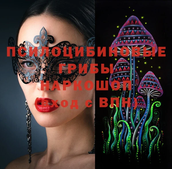амф Арсеньев