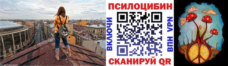 Псилоцибиновые грибы Psilocybine cubensis  Купить  Борзя 